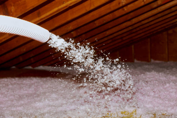 Best Best Insulation Companies  in Iva, SC