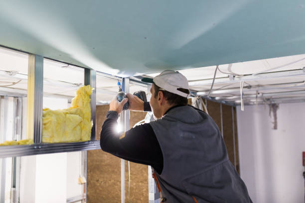 Best Insulation Removal  in Iva, SC