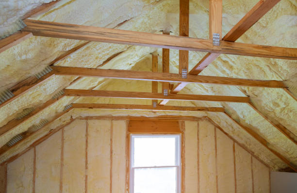 Insulation Inspection Services in Iva, SC