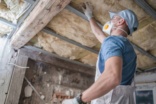 Best Insulation for New Construction  in Iva, SC