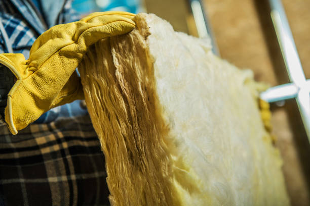 Best Professional Insulation Contractor  in Iva, SC