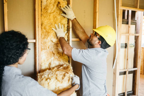Best Blown-in Insulation  in Iva, SC