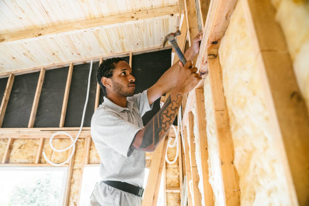 Best Insulation Repair Services  in Iva, SC