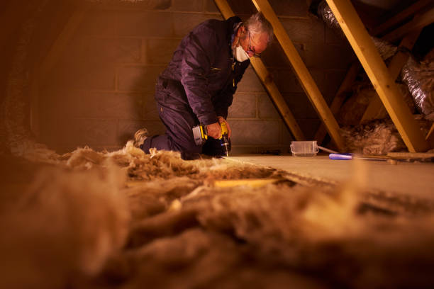 Best Garage Insulation Installation  in Iva, SC